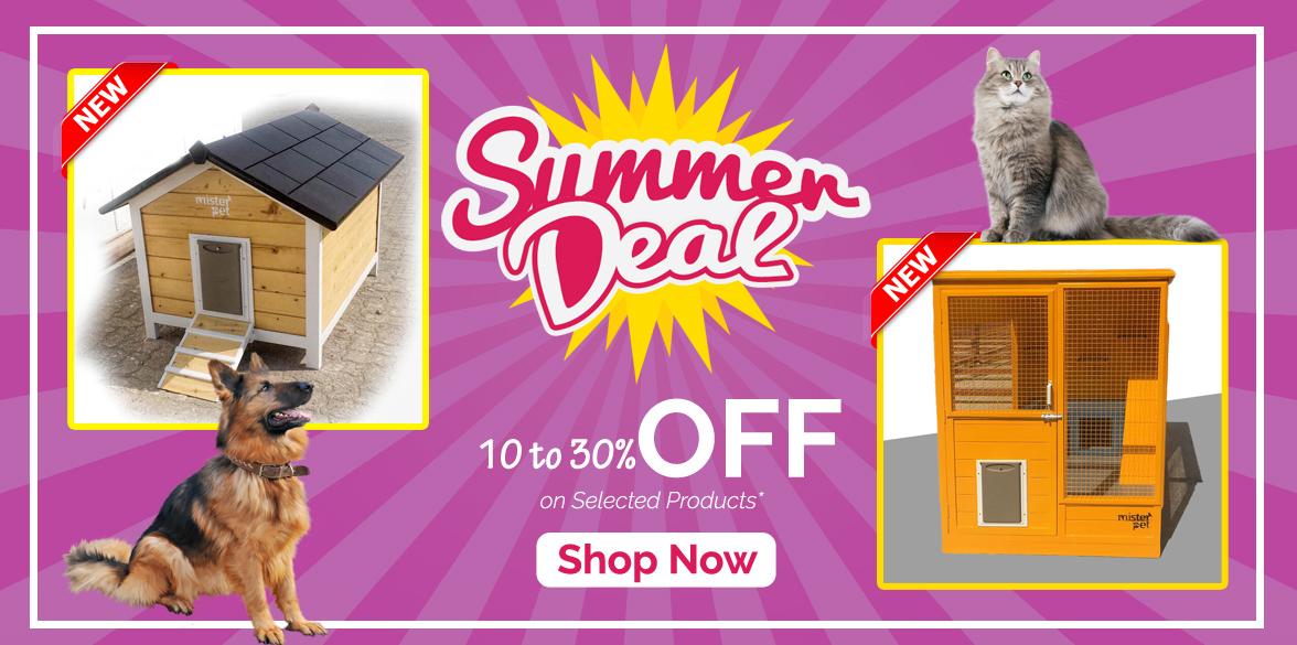 summer deals