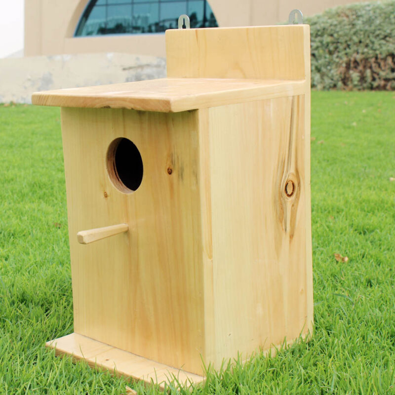 Birdhouse in dubai online 2