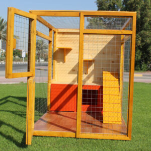 Outdoor cat outlet play area