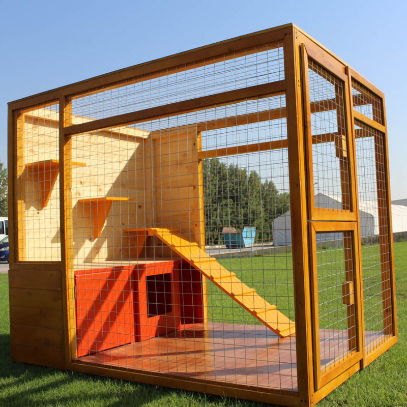 cat house with fenced play area uae