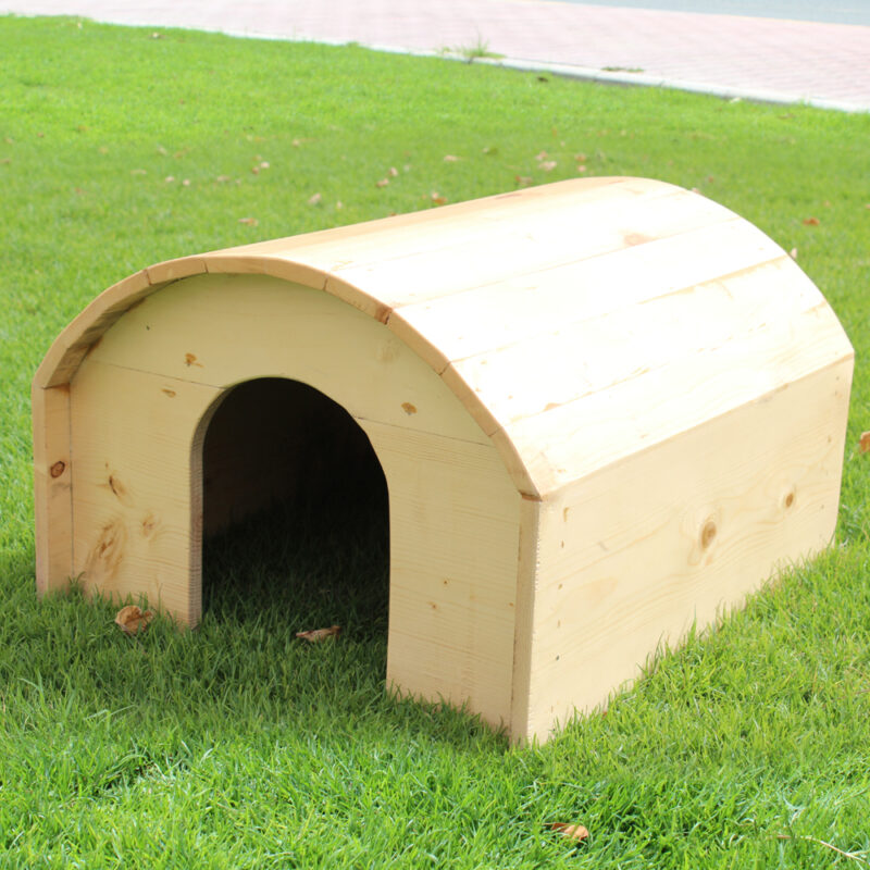 Cat House UAE