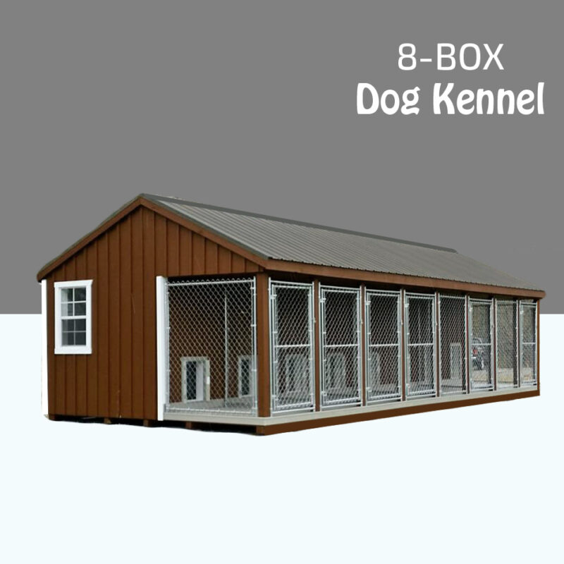 Big dog kennels in dubai